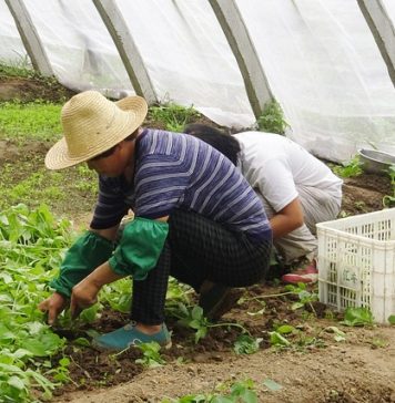 Noi reguli privind schimbarea locului de muncă a cetățenilor străini care vin să lucreze în România