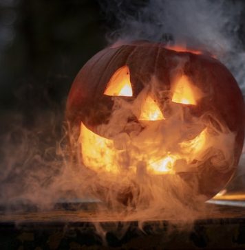 ”Dovleci cu personalitate” – Atelier creativ de toamnă la Antipa