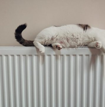 Termoenergetica începe furnizarea căldurii în noaptea de marţi spre miercuri