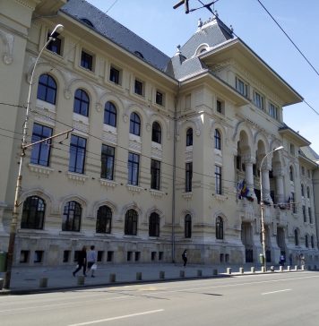 Viceprimar București: Economisim 26 milioane de lei prin acordul-cadru pentru salubrizarea spaţiilor verzi din parcuri