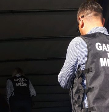 Garda de Mediu a găsit 240 de maşini abandonate pe domeniul public în Jilava – VIDEO