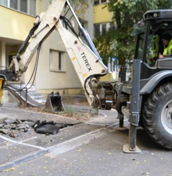 Sectorul 2: Continuă acțiunea de desființare a construcțiilor ilegale de pe domeniul public