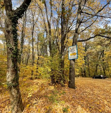Primaria Orasului Pantelimon invită pasionații de natură în pădurea Pustnicu, pe Ruta10 Pantelimon – FOTO