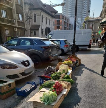 Zeci de amenzi în Sectorul 2 pentru comerț stradal ilegal