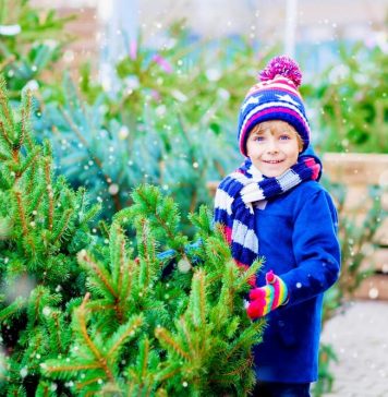 Primăria Sectorului 6 organizează #TârguldeBrazi în 6 locații