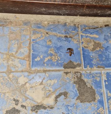 O brutărie din cartierul bucureştean Rahova a fost închisă temporar de ANPC – FOTO