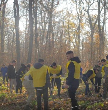 Hubert Thuma (CJ Ilfov): 8.000 de arbori au fost plantaţi în 5 ore – FOTO