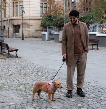 FOTO/ Teatrul de Comedie din București are un nou „membru”. Este vorba despre un câine luat de la ASPA de actorul Mihai Bendeac