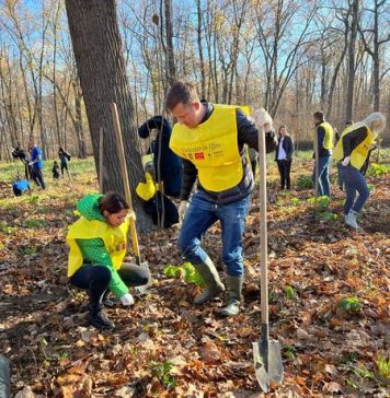 Hubert Thuma: 8.000 de arbori au fost plantaţi în 5 ore
