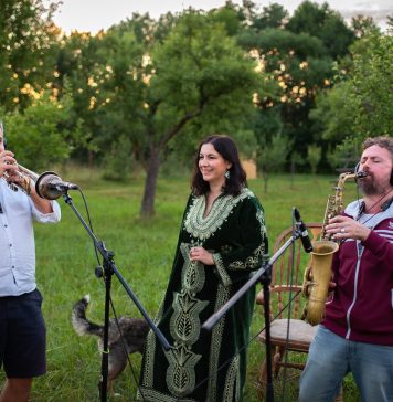 O artistă a lansat albumul concept Interbeing, o inițiativă caritabilă pentru reîmpădurirea peisajelor degradate