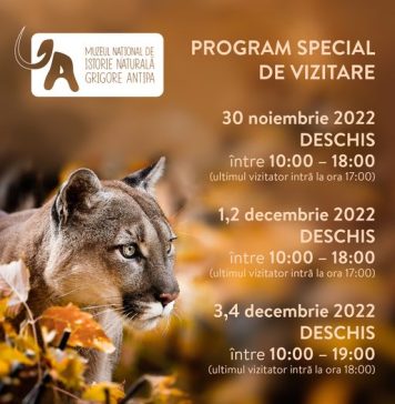 Muzeul Naţional de Artă al României, Muzeul Naţional de Istorie şi Muzeul Naţional de Istorie Naturală „Grigore Antipa” vor fi deschise de 1 Decembrie