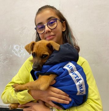 FOTO/ Proiectul “Împreună învățăm despre animale!”, derulat de Primăria Bucureşti, a ajuns la final