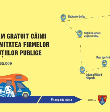 Campanie de sterilizare a câinilor din proximitatea firmelor şi instituţiilor publice din Ilfov