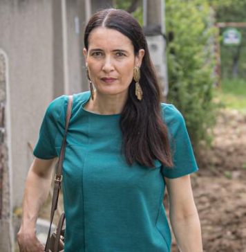 Clotilde Armand: Solicit public demisia conducerii ANI