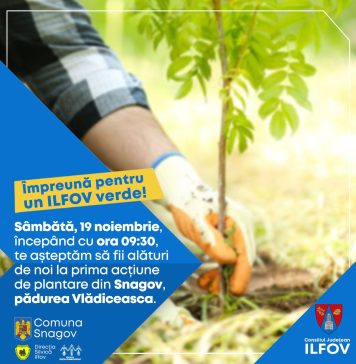 Împreună pentru un Ilfov verde – acțiune de plantare arbori în pădurea Vlădiceasca