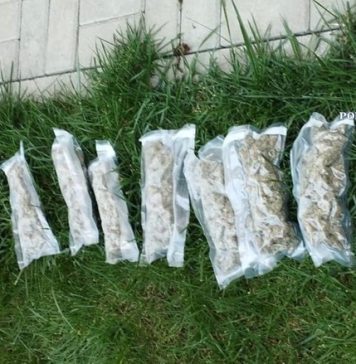 Tânăr de 22 de ani din Ilfov, cercetat sub acuzaţia de trafic de droguri. El e suspectat că furniza canabis unor consumatori din Teleorman