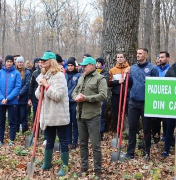 FOTO | Canotorii din lotul olimpic al României au participat la o nouă acţiune de împădurire