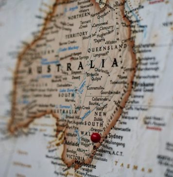 Australia vrea refacerea pădurilor de alge uriaşe, afectate de schimbările climatice