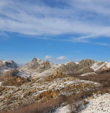 Wolves to be reintroduced to Romania’s oldest mountains