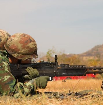 Romanian Defense Minister and Germany’s Ambassador discuss need to strengthen NATO presence in the region