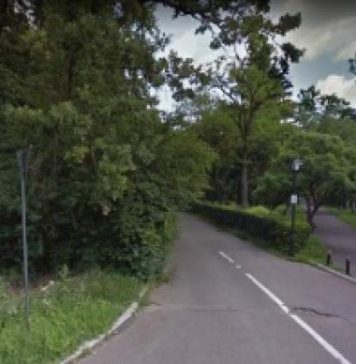 Trei proiectile explozive, găsite în pădurea Băneasa