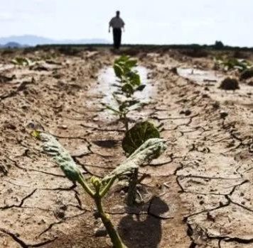 Judecătorul Adriana Stoicescu: România nu ştie dacă mai e o ţară, dacă mai are un popor; ne-am obişnuit cu statutul de sclavi şi ne convine să nu ne batem capul cu nimic, am schimbat doar directia în care privim pentru a primi aprobarea stăpânului, iar singura noastră constantă e ura – ne urâm visceral unii pe alţii şi ne închinăm la tot ce nu e românesc