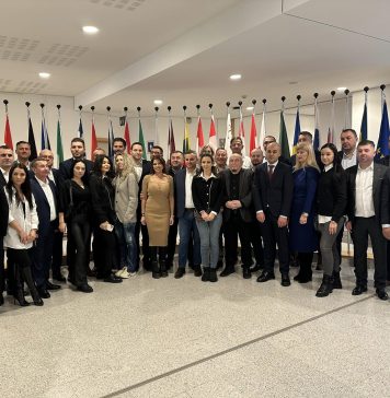 Președintele și vicepreședinții CJ Ilfov, alături de primari din județ, vizită de lucru la Bruxelles