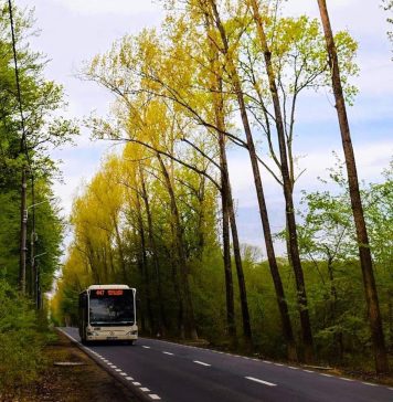 Autobuzele liniei 447B vor efectua opriri în noua stație „Balta Neagră”