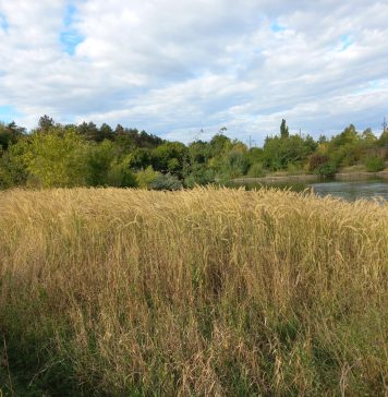 Protocol ALPAB – Asociaţia Parcul Văcăreşti pentru promovarea Dâmboviţei ca rezervor de biodiversitate