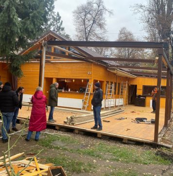 Terasă construită ilegal în Parcul Herăstrău, demolată de primărie. Viceprimar: „Vom continua să readucem domeniul public la starea inițială” – FOTO