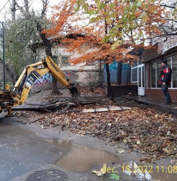 Alte trei construcţii ilegale au fost demolate de Primărie în parcurile Cişmigiu şi Carol