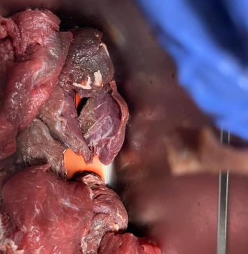 Comisarii ANPC au găsit carne expirată în stațiunile de pe Valea Prahovei – FOTO