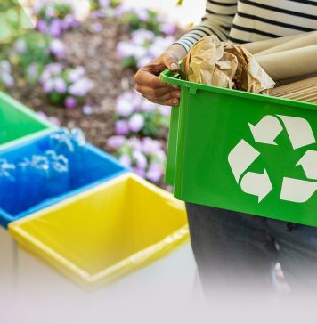 Proiect în Sectorul 5: peste 50 de milioane de euro pentru salubritate și colectare selectivă!