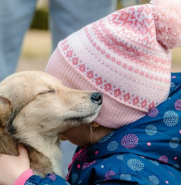 Nicuşor Dan: 1.200 de câini adoptaţi în 2022 prin Autoritatea pentru Supravegherea şi Protecţia Animalelor București – FOTO