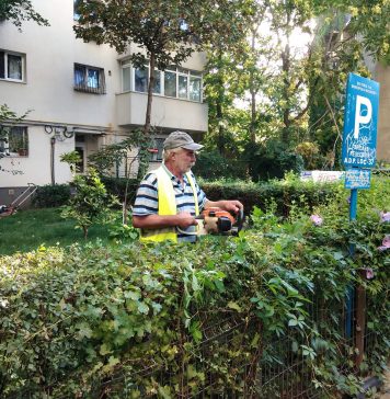 O tânără a păcălit zeci de angajaţi de la spații verzi că îi face poliţişti. Victimele deja începuseră să certe pe „grade”