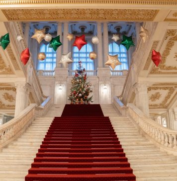 FOTO Târg de Crăciun la Senat