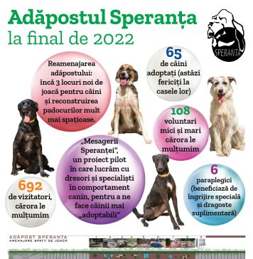2022, un an cu multe schimbări pentru Adăpostul Speranța