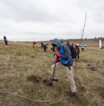 Afforestation campaign of 90,000 trees for setting up Romania’s first community forest