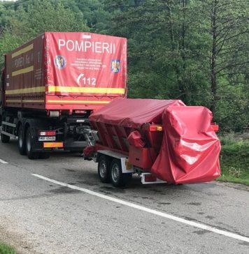 IGSU: Bambi sau un alt fel de ”Singur acasă”/Pompierii au salvat un pui de căprioară