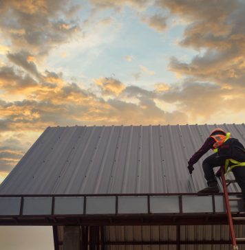 De ce este important să se curețe mucegaiul format pe acoperișul casei?