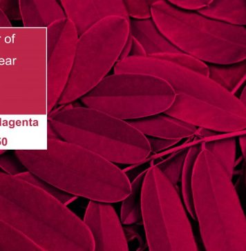 Culoarea anului 2023 este Viva Magenta