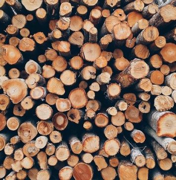 România, printre ţările cu cea mai ridicată producţie de lemn pentru combustibil din UE