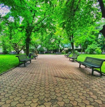 O bancă de parc: 700 de euro, un coș de gunoi: 600 de euro. Acestea sunt sumele uluitoare propuse în bugetul Capitalei de către cei de la ALPAB