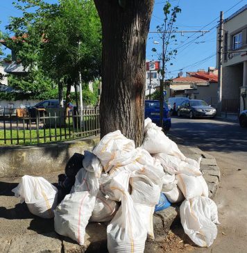 Cresc amenzile pentru aruncarea gunoaielor. Noi obligații pentru primării, care trebuie să colecteze separat deșeurile
