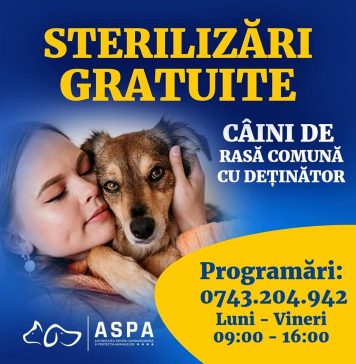 Primăria Capitalei reia campania de sterilizări și microcipări gratuite a câinilor