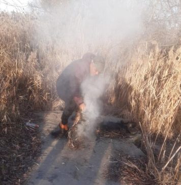 Un bărbat care a dat foc în mijlocul Parcului Văcărești unei grămezi de cabluri electrice, prins de polițiști