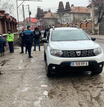 IPJ Ilfov anunță amenzi de peste 300.000 de lei în urma controalelor din Sinteşti şi Jilava