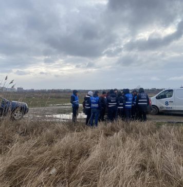 Convorbire între Poliția Locală Sector 6 și ASPA: nu are cine să ridice câinii, intervenții – doar în caz de urgență