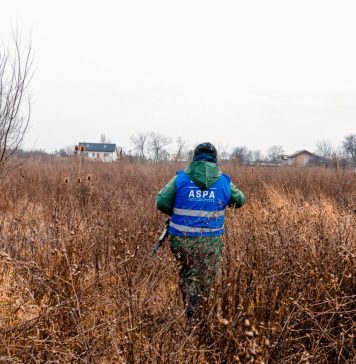 Poliția Sectorului 6 susține că ASPA nu intervine pentru a captura maidanezi. Din 85 de sesizări, s-au prezentat doar la 7