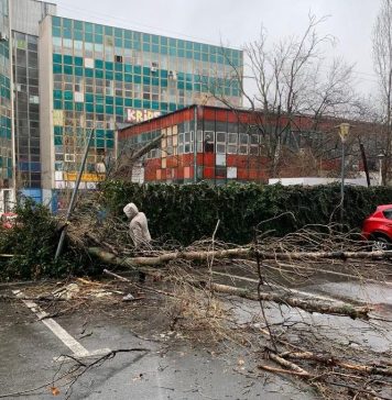 Un copac a căzut peste o tânără în București